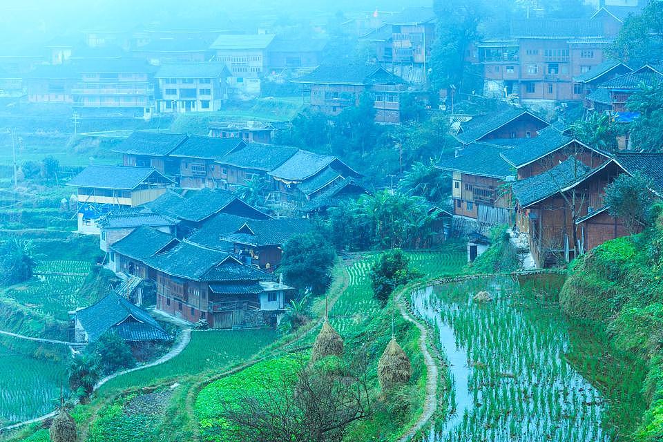 有一座与世无争的小村庄,叫白岩村