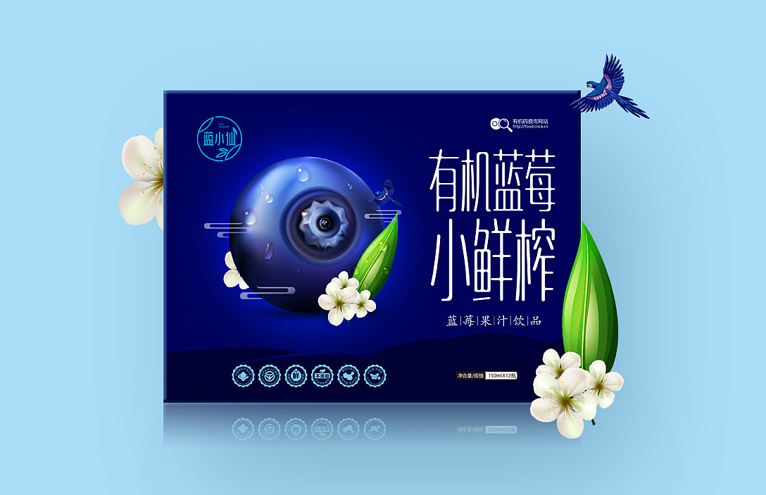 蓝小仙蓝莓果汁品牌策划包装设计