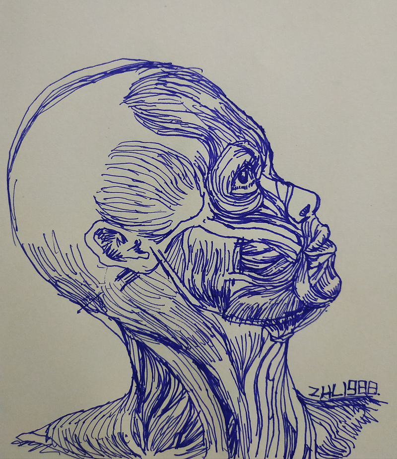 每日一画-04（2019年的作品）（图ZMjA4MjE4NTcy） - 绘画 - 站酷设计师zhl1988原创素材 - 站酷ZCOOL