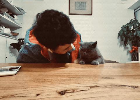 画西施是大便的我