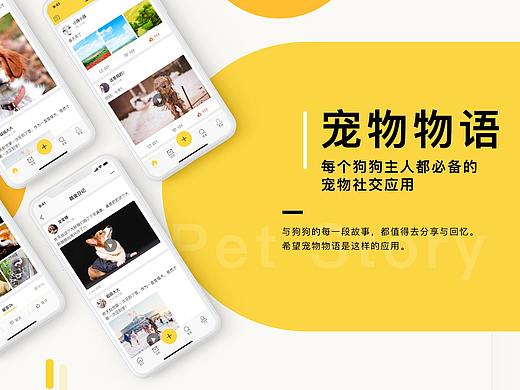 宠物物语APP项目包装
