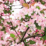 摄影师沐风的头像