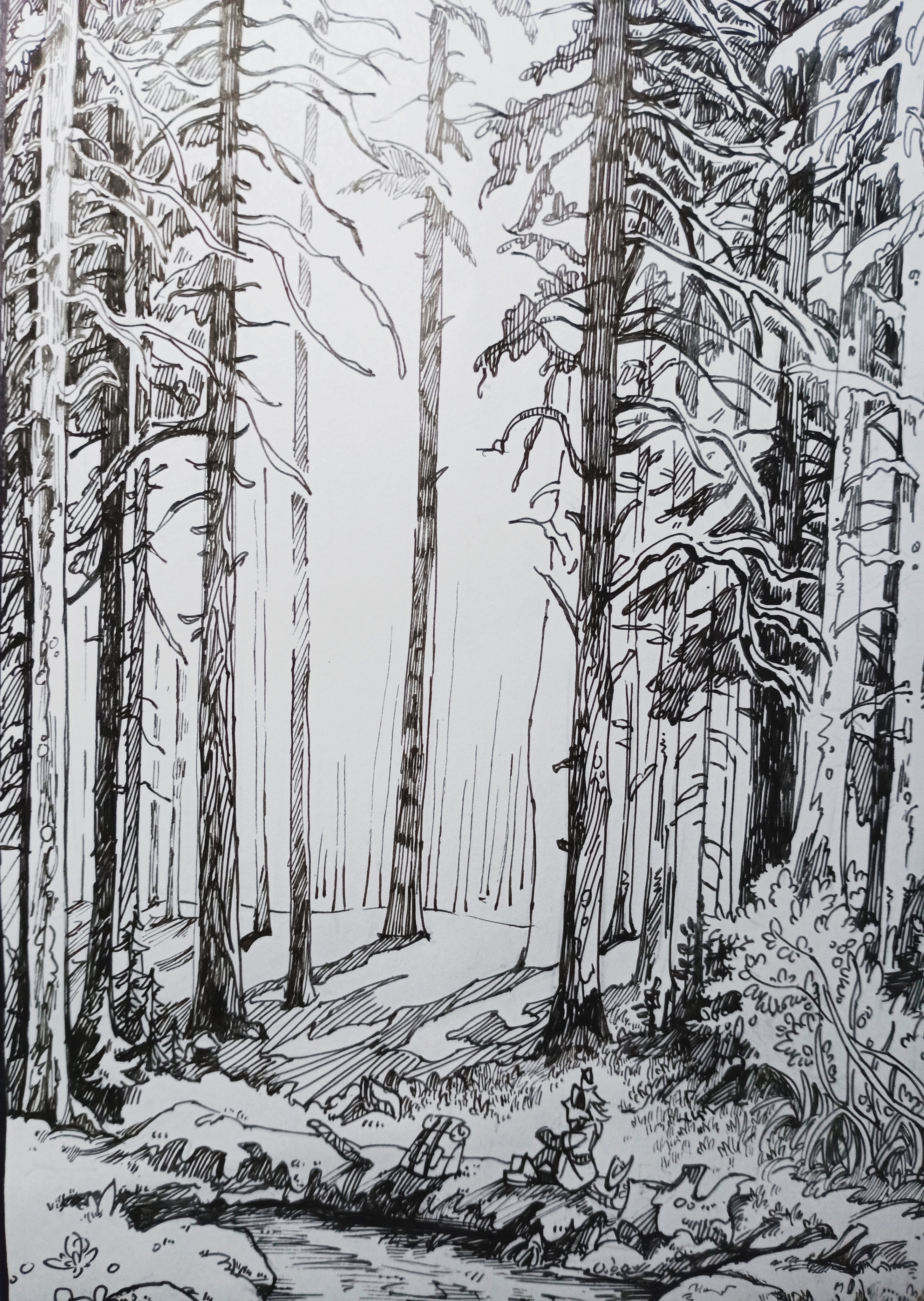 森林小道的素描画图片