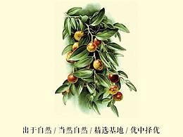 品牌海报