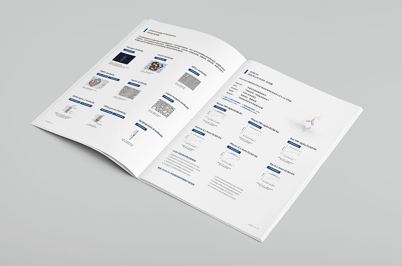 畫冊(cè)（圖ZMTgwNjY3NzQw） - 書籍/畫冊(cè) - 站酷設(shè)計(jì)師派大星的海秒寶寶原創(chuàng)素材 - 站酷ZCOOL