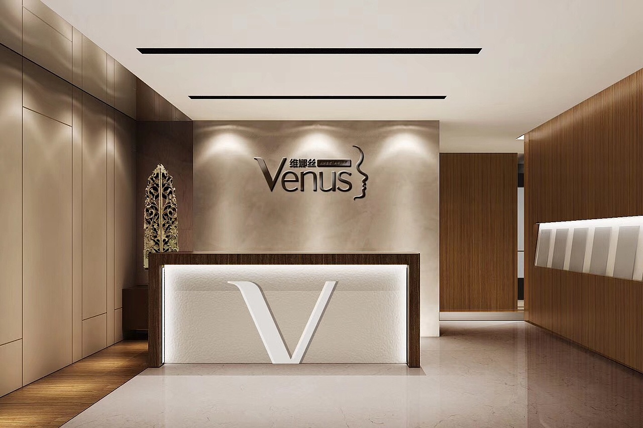 维娜丝皮肤管理LOGO设计（图ZMTE0ODk3MTI4） - Logo - 站酷设计师leehoo原创素材 - 站酷ZCOOL