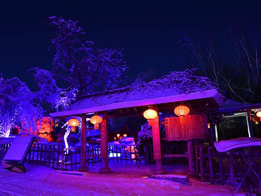 辽宁今日网络科技公司打造冬季童话冰雪乐园