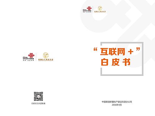 新疆联通互联网白皮书