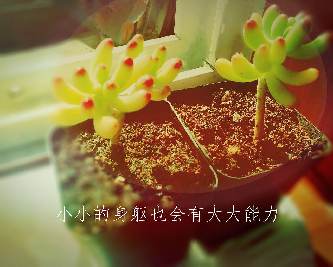 我的美好生活——身边的风景（图ZMTU4MTY2Mjcy） - 其他UI - 站酷设计师卿雨韵原创素材 - 站酷ZCOOL