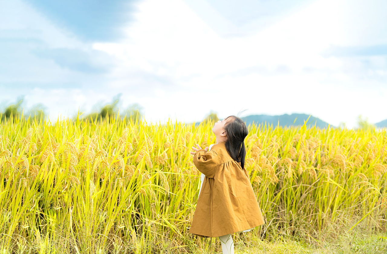 你有一份秋日来信请签收