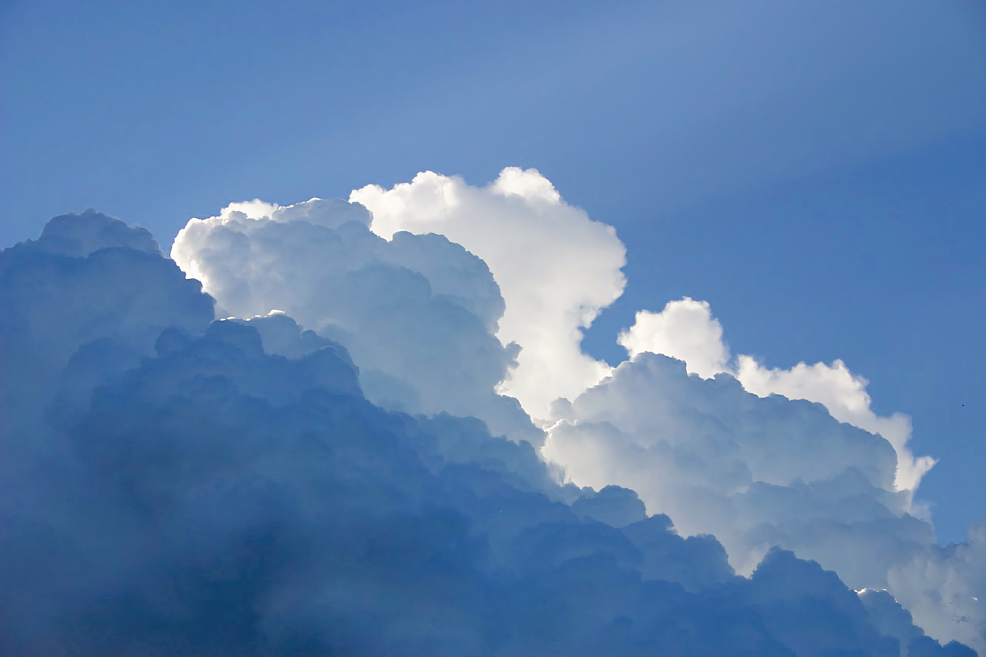 是橘子味草莓的个人主页（封面预览） - 主页封面设置 - 站酷设计师是橘子味草莓原创素材 - 站酷ZCOOL