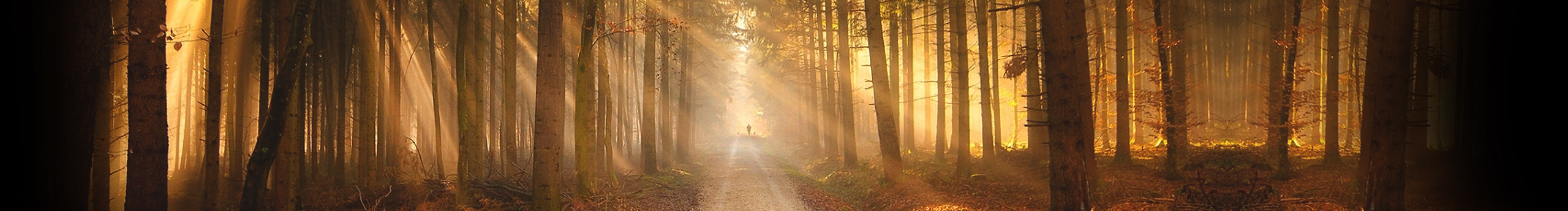 一顆小丸子123的個(gè)人主頁（封面預(yù)覽） - 主頁封面設(shè)置 - 站酷設(shè)計(jì)師一顆小丸子123原創(chuàng)素材 - 站酷ZCOOL