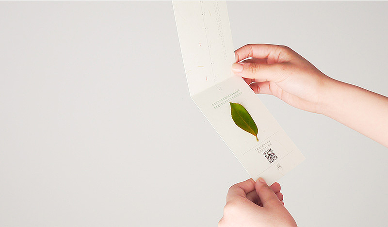 一片带着龙井山中水汽的叶子,将随同这份茶叶一起,送到你的手里,当然还有满满的春天。