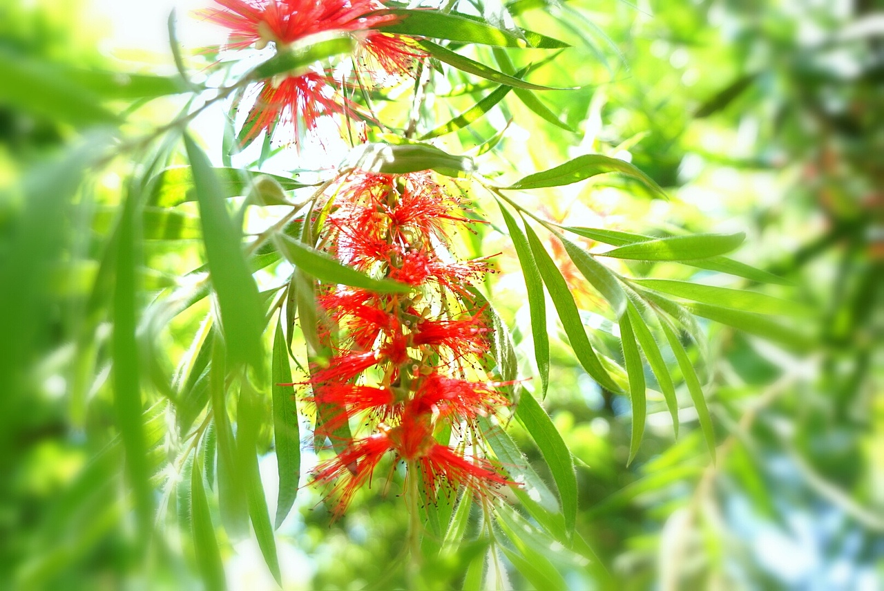 所到之处,皆是风景。