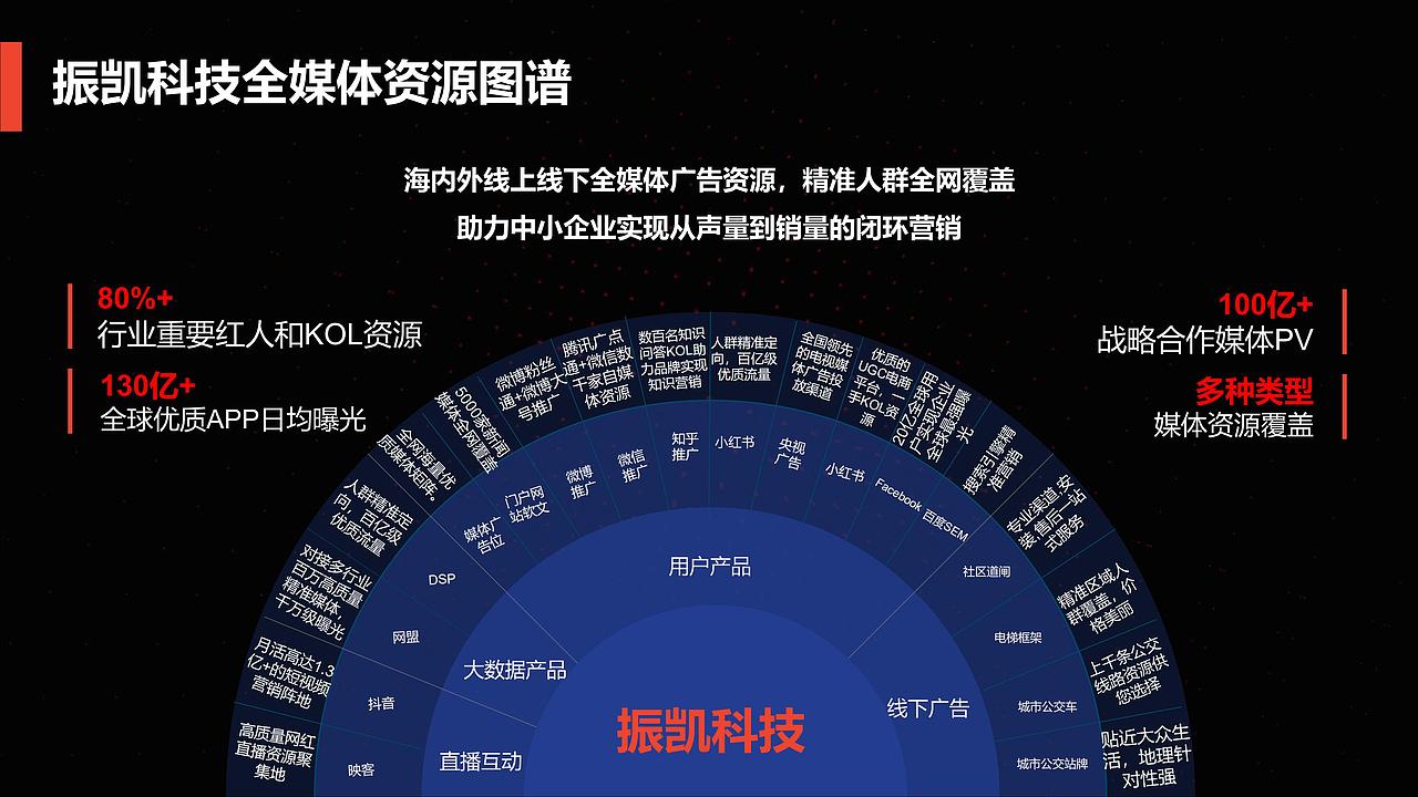 振凯科技公司-高级