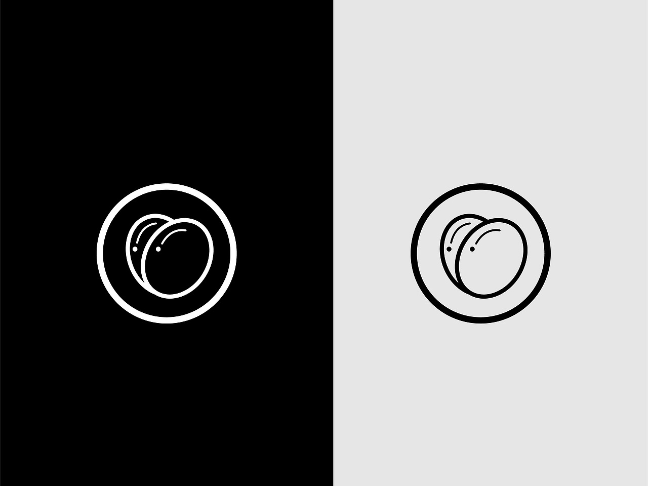 黑豆蛋白粉品牌提案