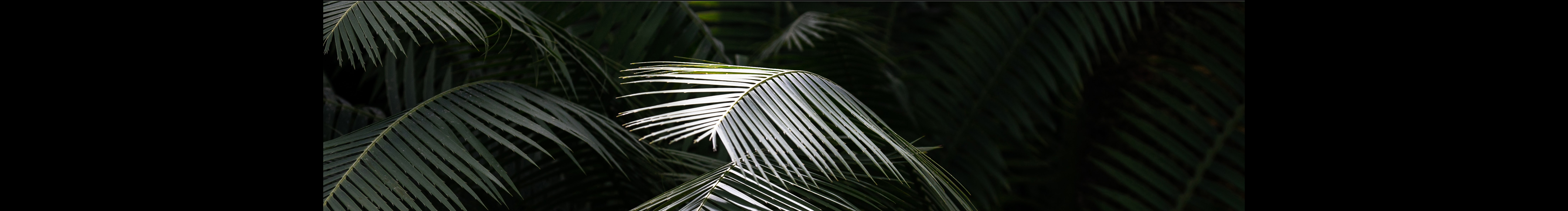 攝影師顧博文的個(gè)人主頁（封面預(yù)覽） - 主頁封面設(shè)置 - 站酷設(shè)計(jì)師攝影師顧博文原創(chuàng)素材 - 站酷ZCOOL