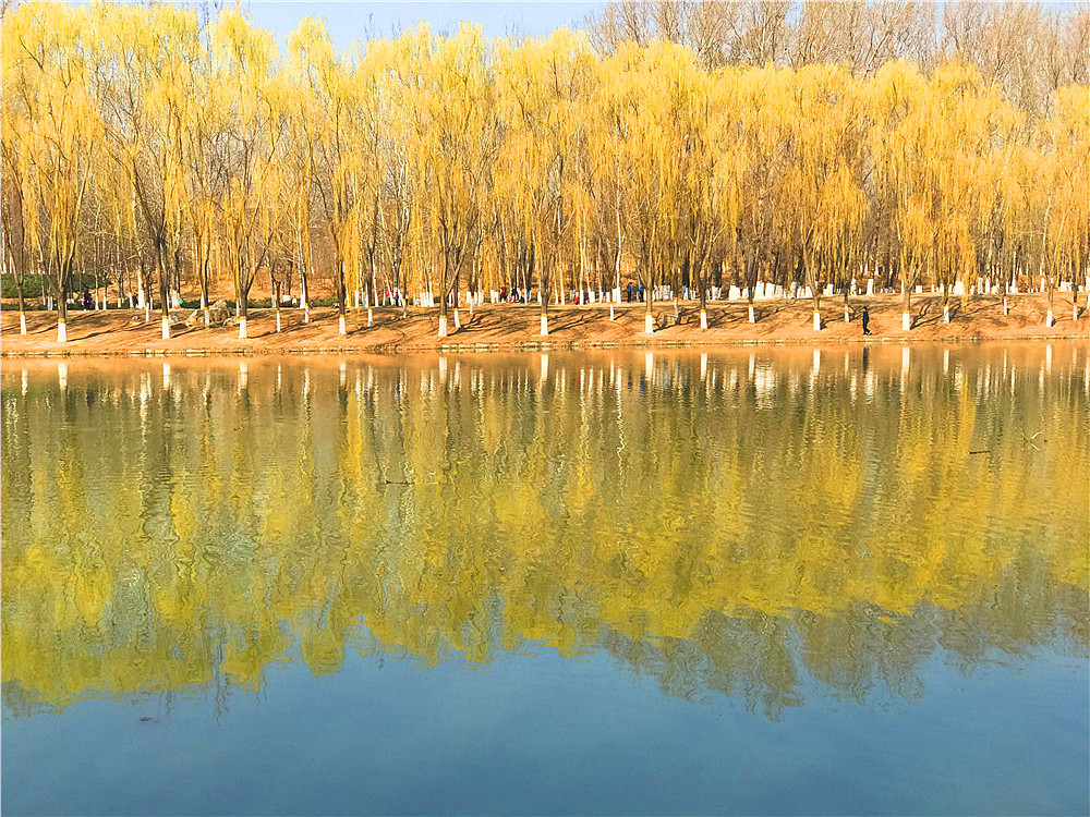 刘勇良手机纪事摄影:风景如画好去处