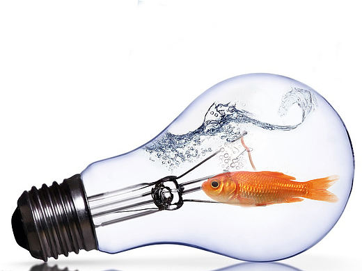 PS个人合成练习