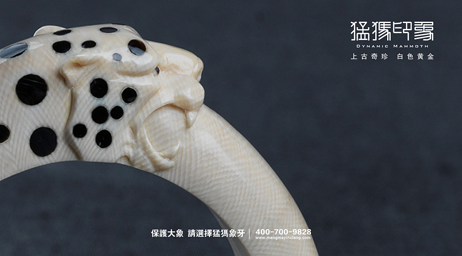 【保护大象,请选择猛犸象牙】