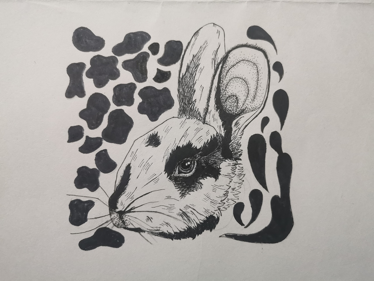 兔子|纯艺术|绘画|懒猫仔 - 原创作品 - 站酷 (ZCOOL)