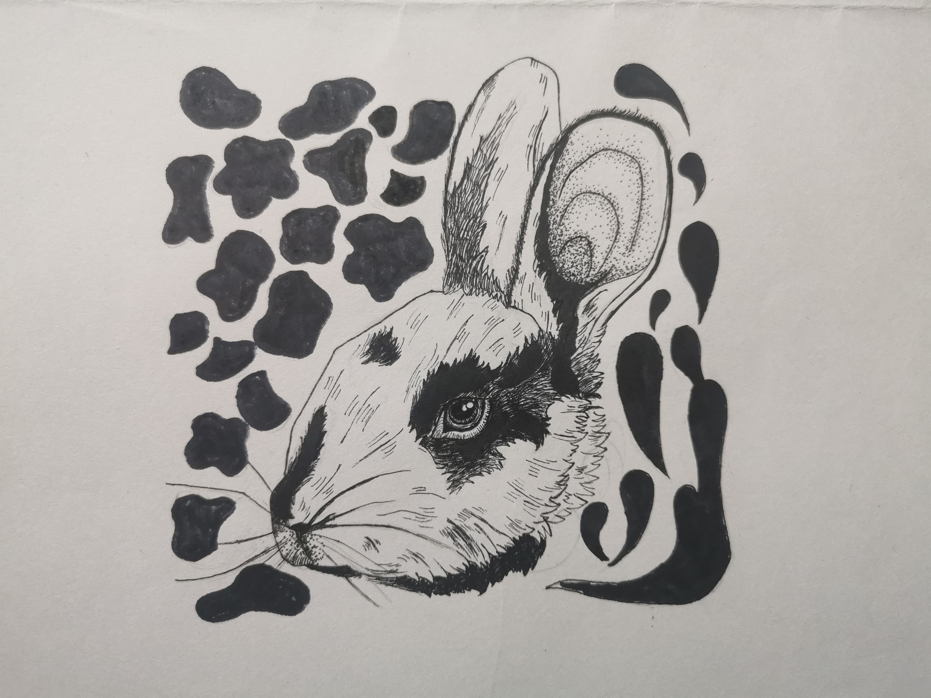 黑白兔子简笔画画法图片步骤（儿童画鱼） - 有点网 - 好手艺