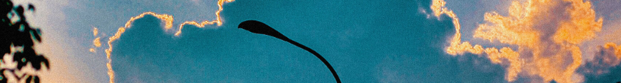 路过南京路过你的个人主页（封面预览） - 主页封面设置 - 站酷设计师路过南京路过你原创素材 - 站酷ZCOOL