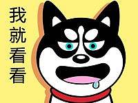 哈小齐减肥