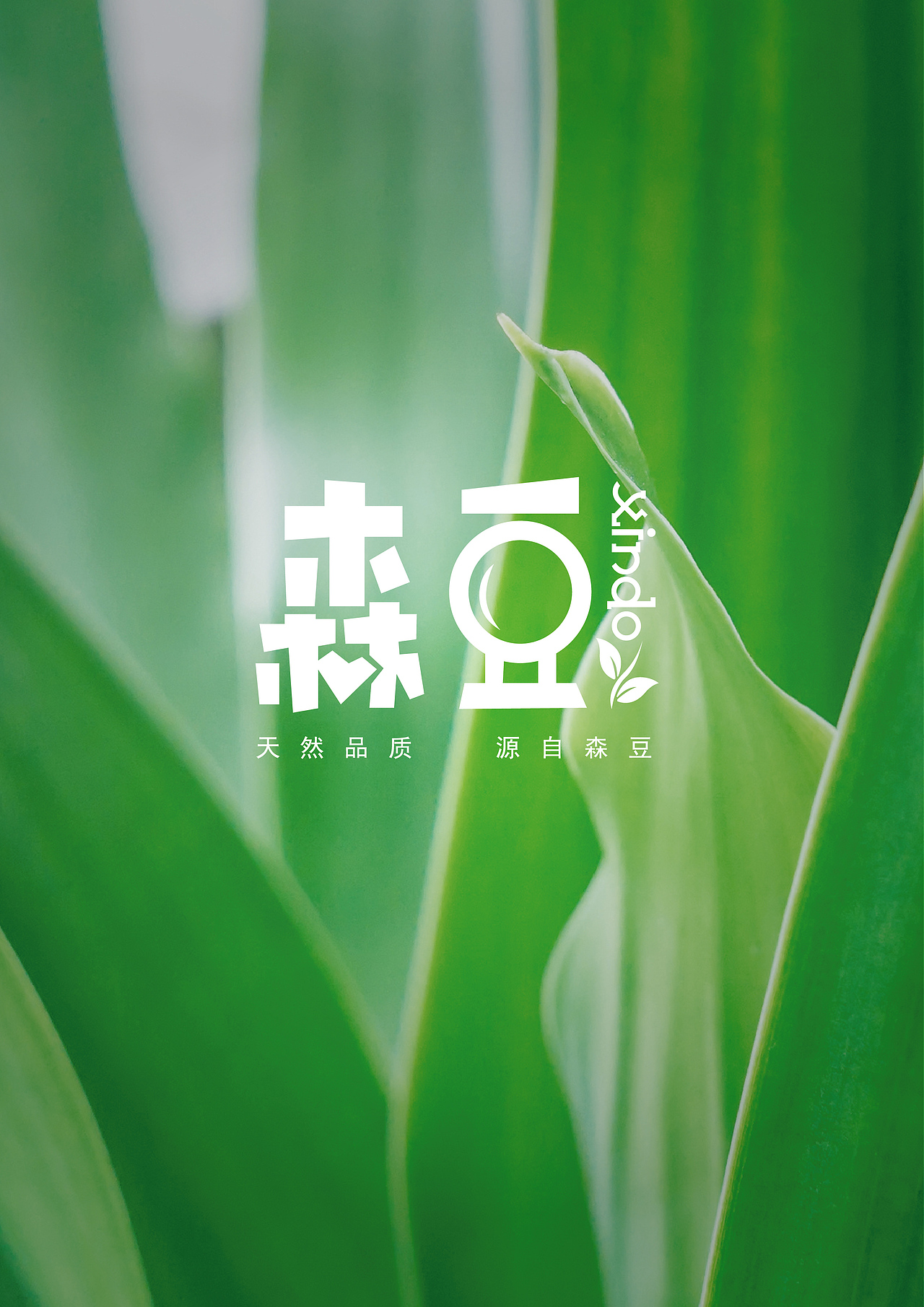 森豆农副产品品牌设计