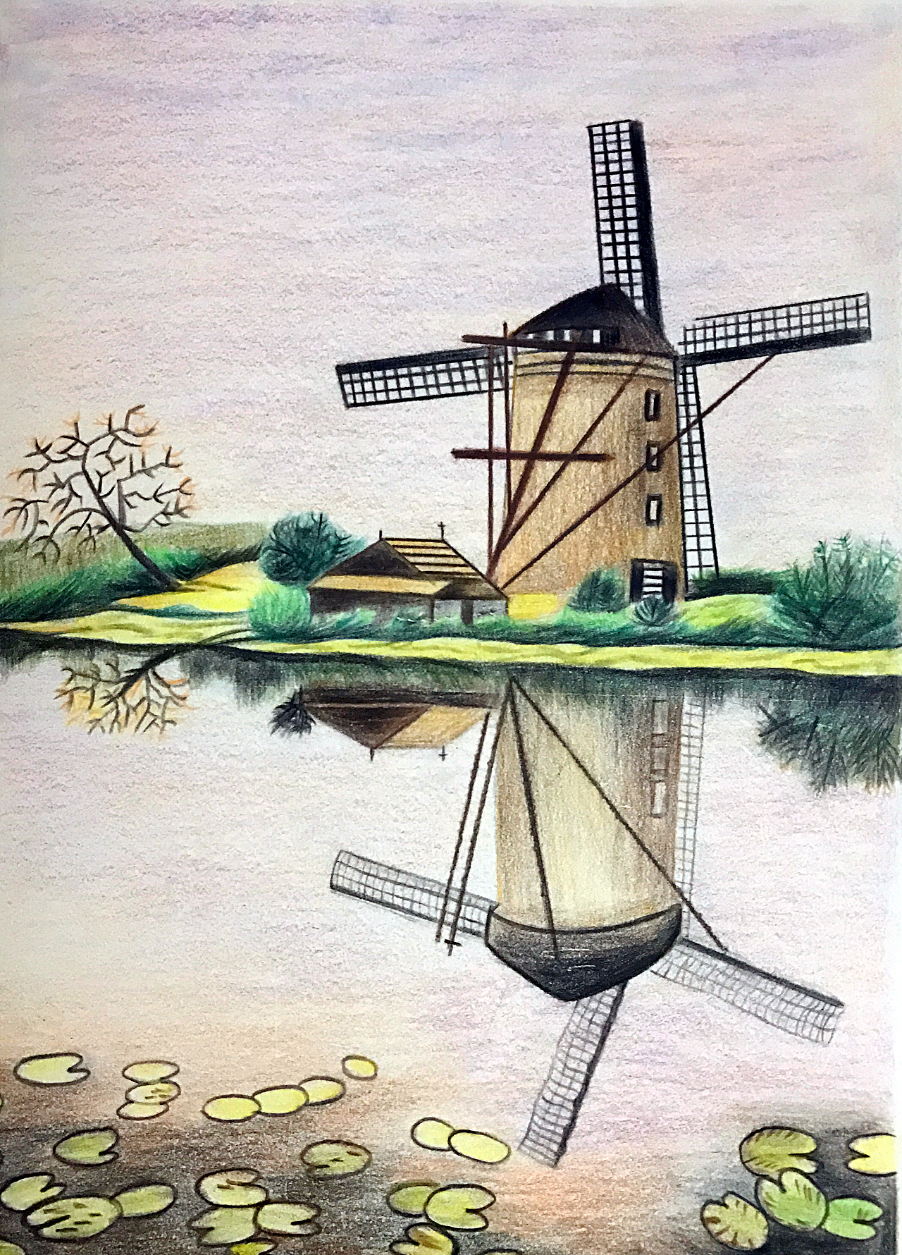 彩色铅笔画初学者