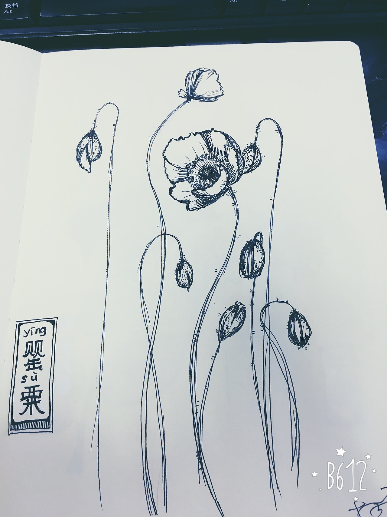 原创临摹都有，乱涂乱画练习中