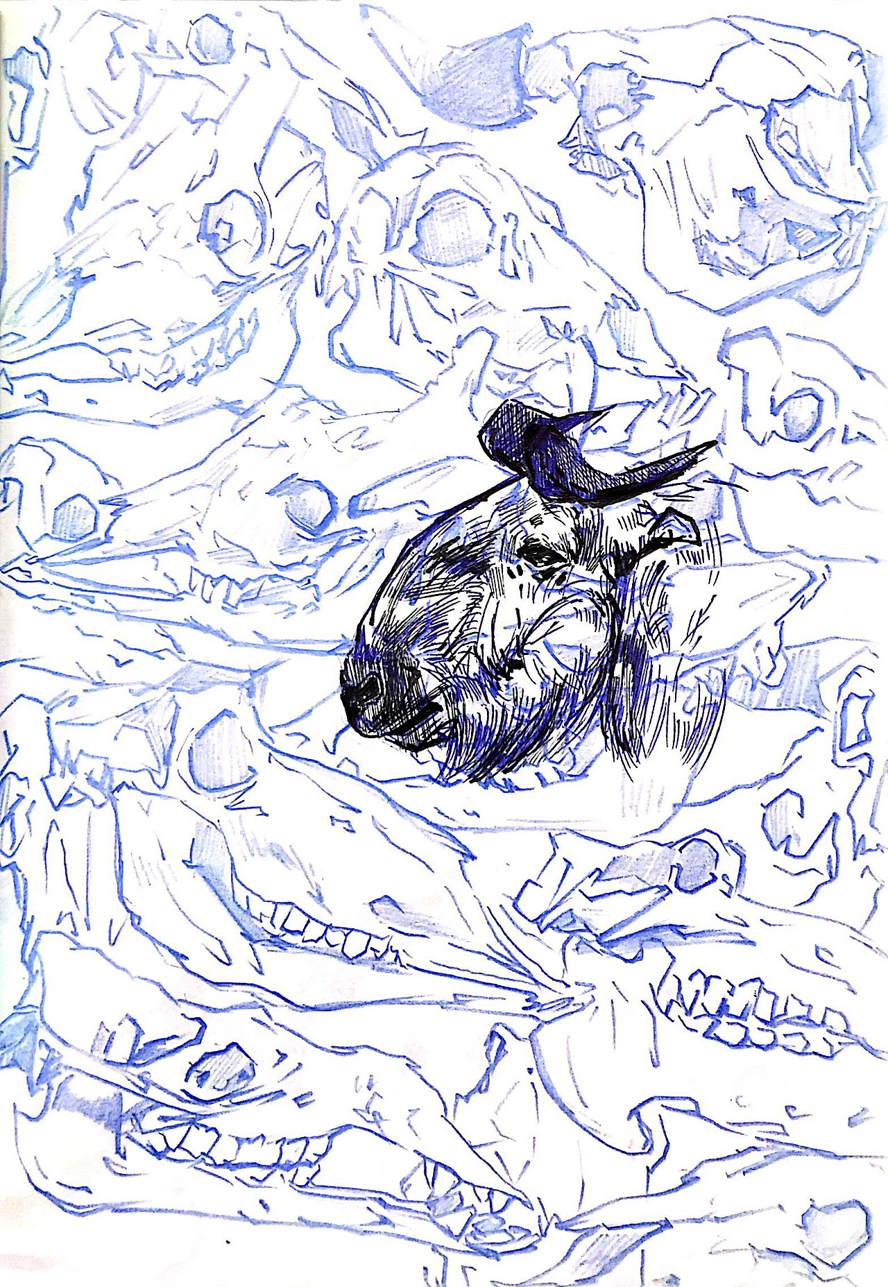 秦岭🏔️⛰️四宝（图ZMTMzODEyODg4） - 创作习作 - 站酷设计师矩句具剧原创素材 - 站酷ZCOOL