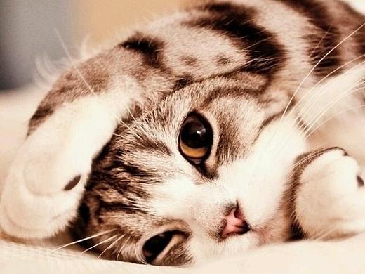 主图（个人主页-ZMzI2OTYxMzI=） - 电商 - 站酷设计师陆可小小原创素材 - 站酷ZCOOL