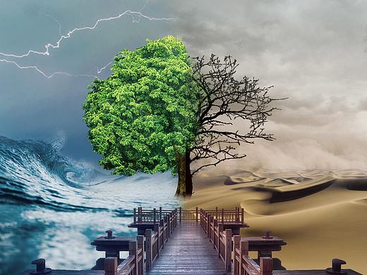 保护自然爱护环境