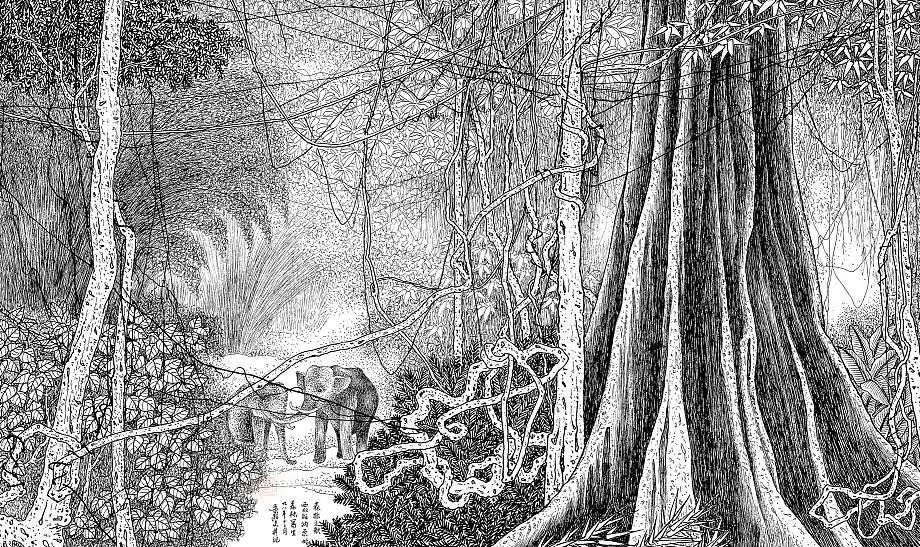 写生-西双版纳原始森林-线描选_国画戴吾馨-站酷zcool