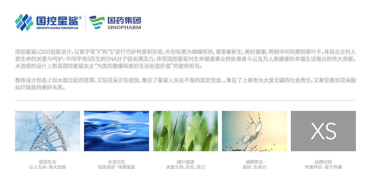 国控星鲨LOGO三组方案设计（图ZMjk3MDE2NDE2） - Logo - 站酷设计师胡晓波设计原创素材 - 站酷ZCOOL