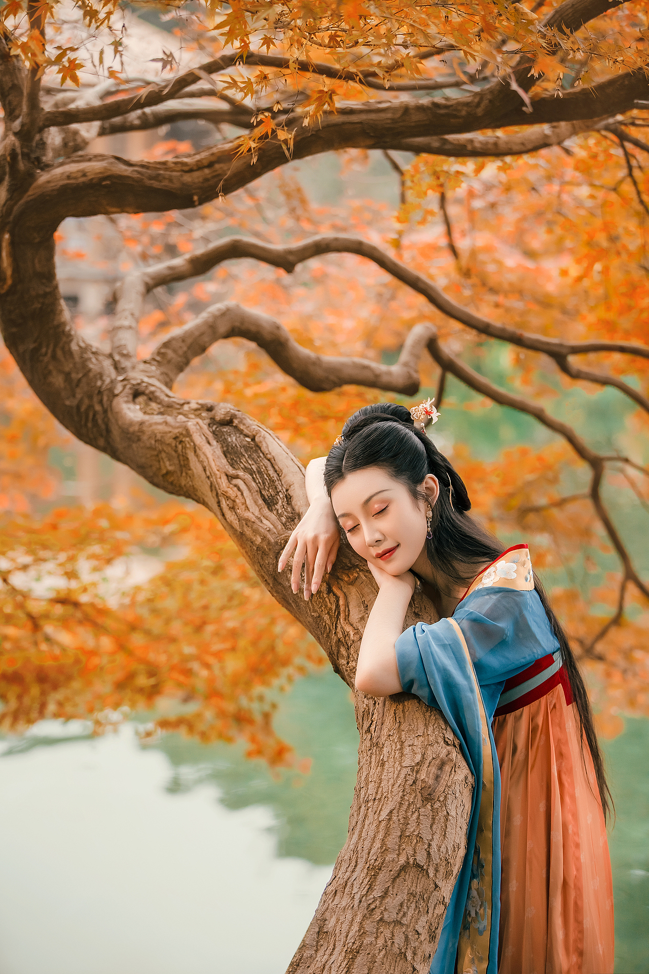 枫叶寄去我的秋思