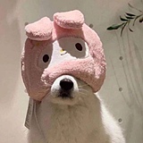 咸芋翻身的头像