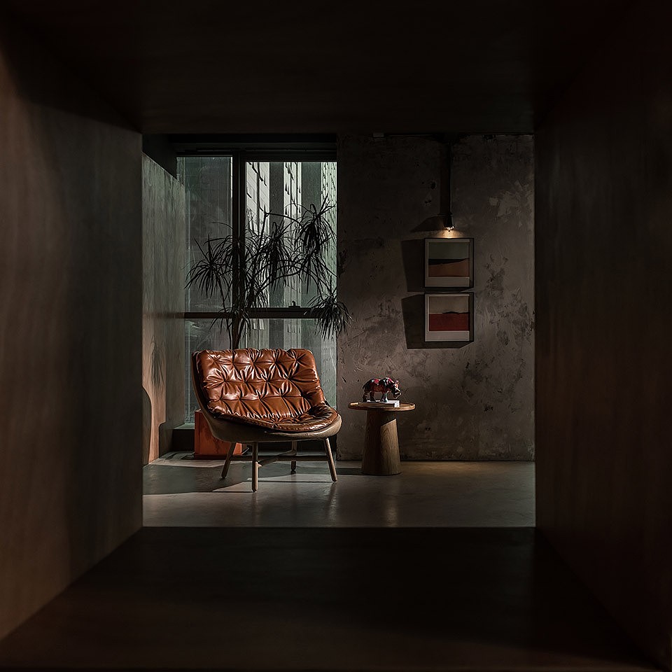 蝉鸣 |新生与过去的共鸣