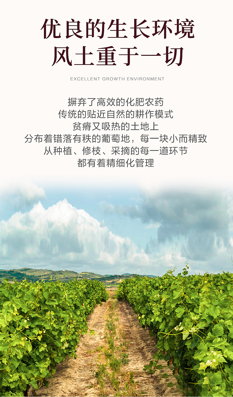 红酒详情页电商设计详情页酒类详情页（图ZMjM3NjE3MzYw） - 其他 - 站酷设计师柒柒小桃桃原创素材 - 站酷ZCOOL