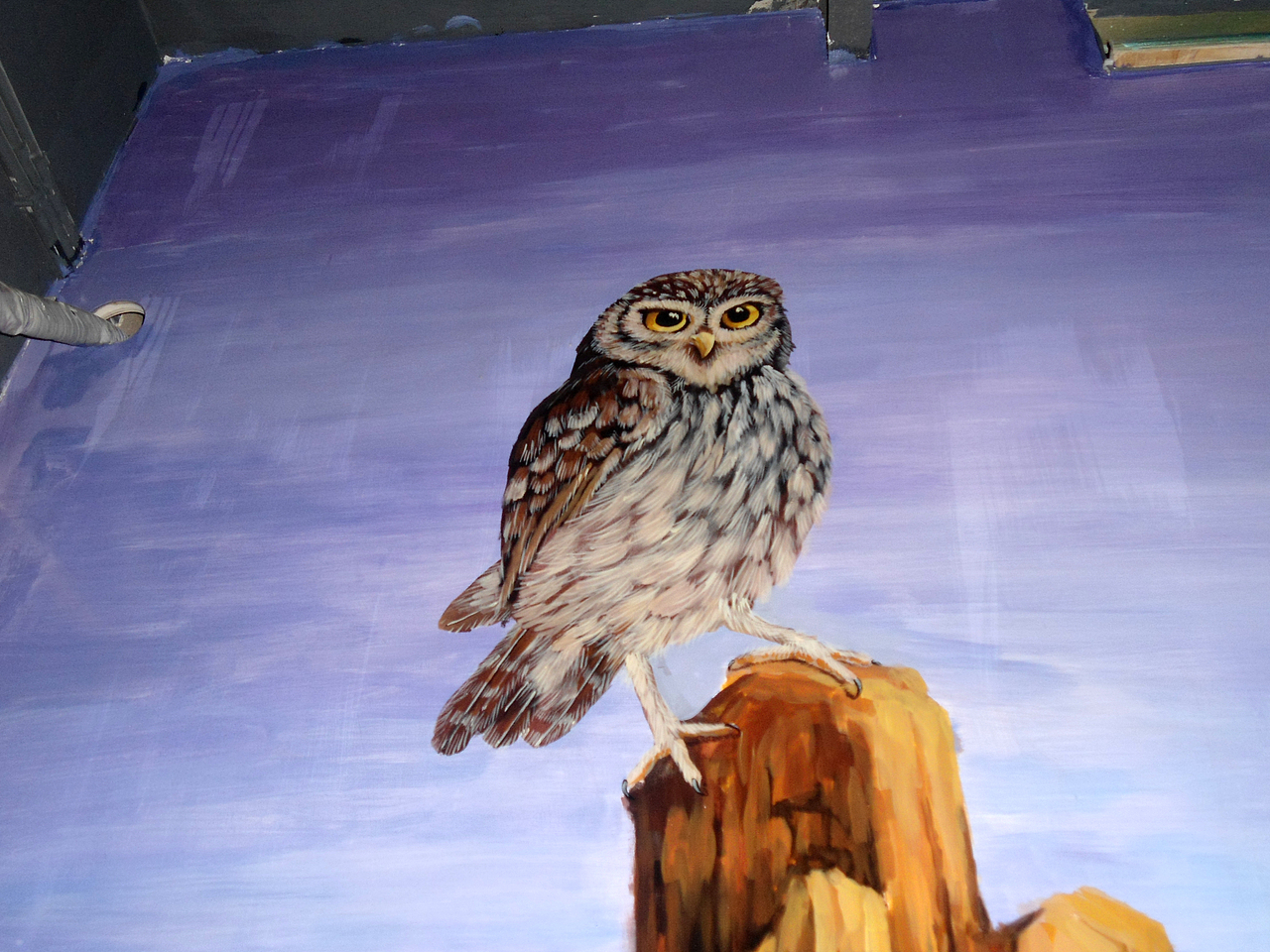 貓頭鷹酒吧墻體彩繪（圖ZMTk3NDM2MDY0） - 繪畫 - 站酷設(shè)計師鴻武設(shè)計原創(chuàng)素材 - 站酷ZCOOL