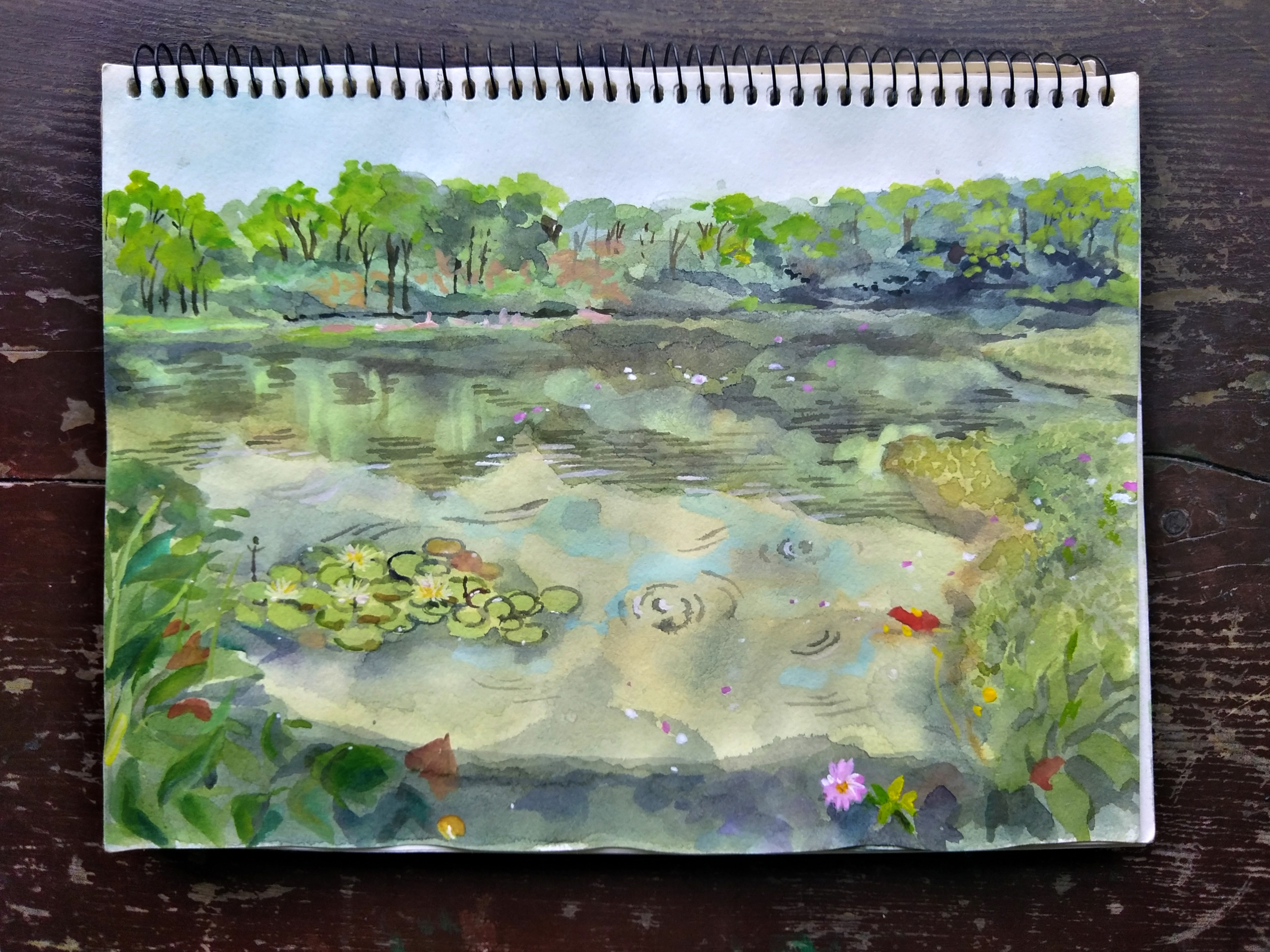 画杭州西溪国家湿地公园