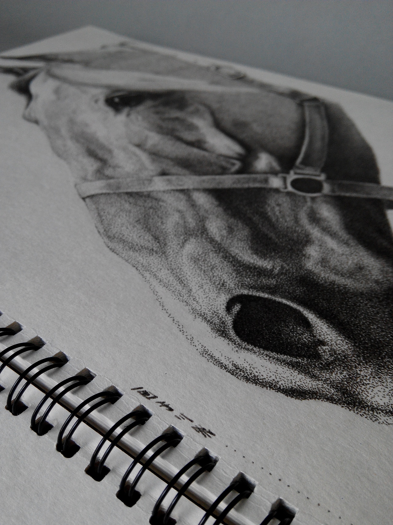 手绘（图ZMTQzOTY1NTY=） - 绘画 - 站酷设计师森林小兵原创素材 - 站酷ZCOOL