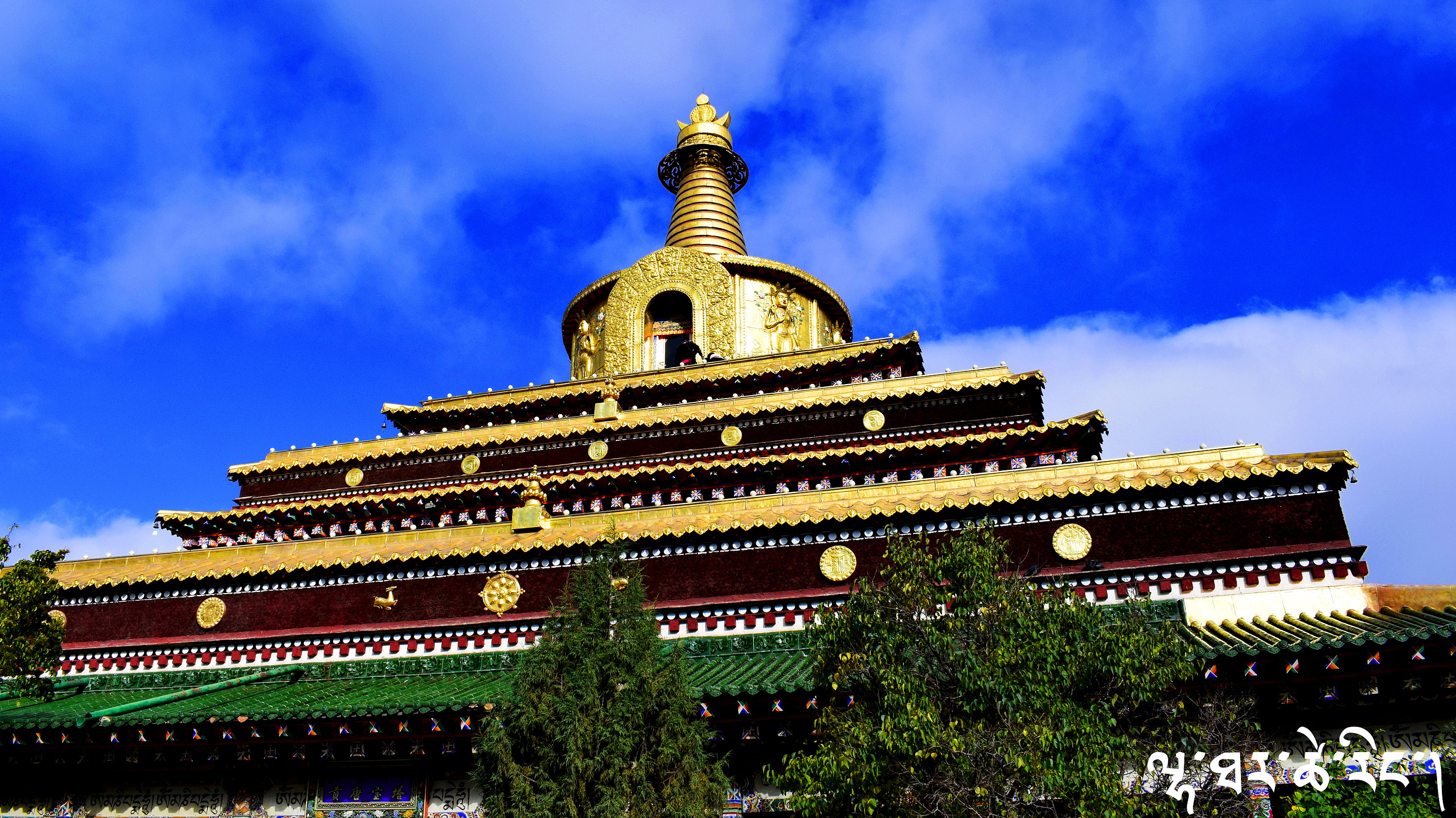 它被誉为是“小西藏”，风景美的让人心醉，颠覆你对大西北的认知_甘肃_甘南_地方