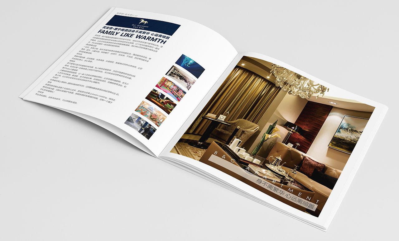 宾安思2016年 画册