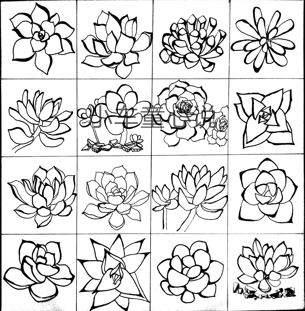 特异构成 近似构成