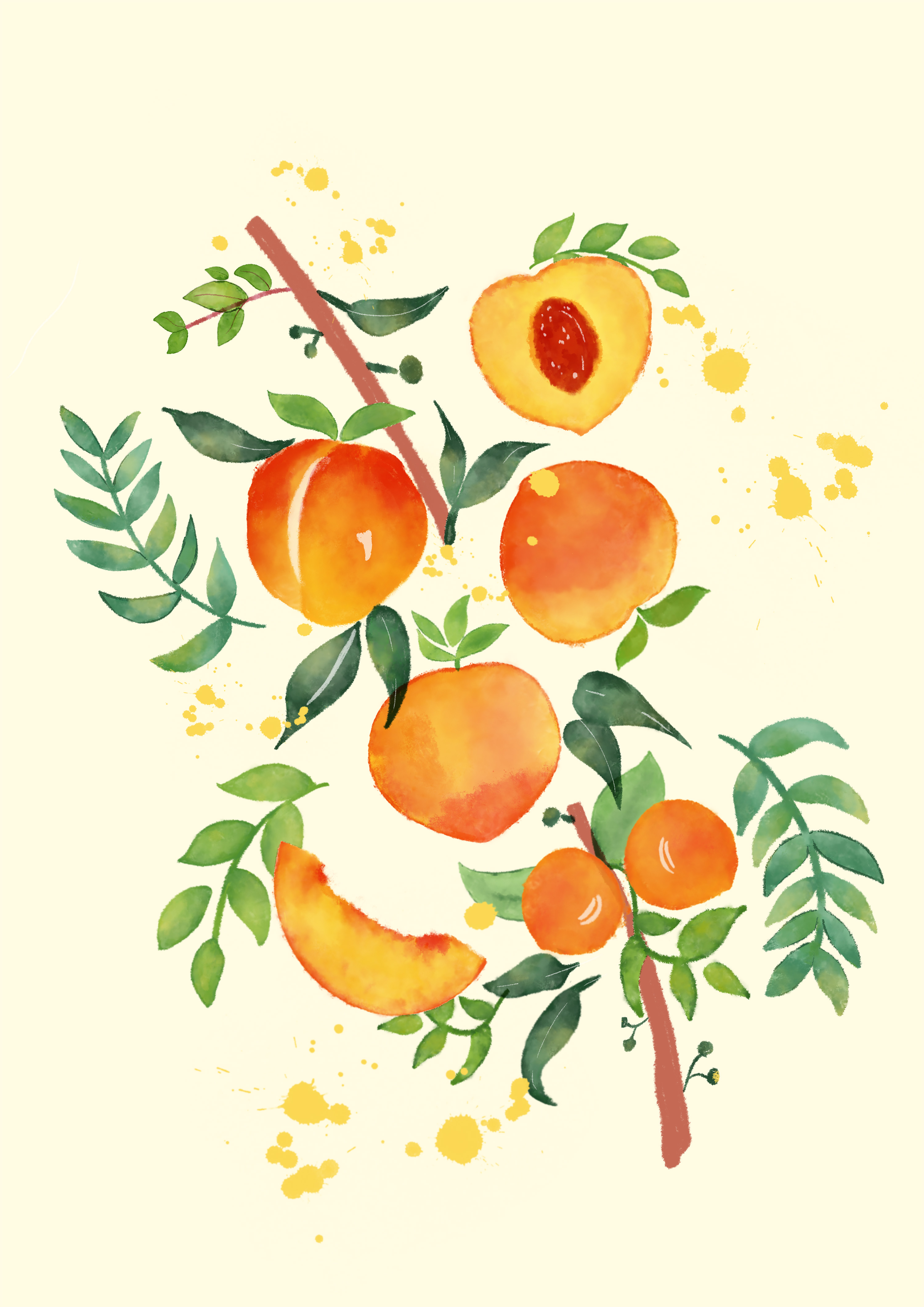 Kelly坦荡荡的个人主页（封面预览） - 主页封面设置 - 站酷设计师Kelly坦荡荡原创素材 - 站酷ZCOOL