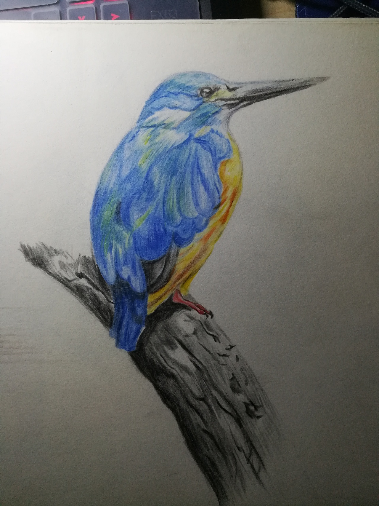 大一时候的花鸟插画 彩铅（图ZMTQ0OTA4NDgw） - 创作习作 - 站酷设计师诺卿原创素材 - 站酷ZCOOL