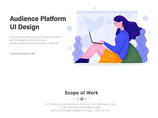 用户画像分析平台Audience Pliatform平台
