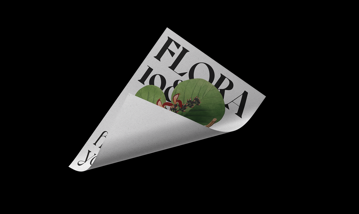 设计分享/ FLORA 1987